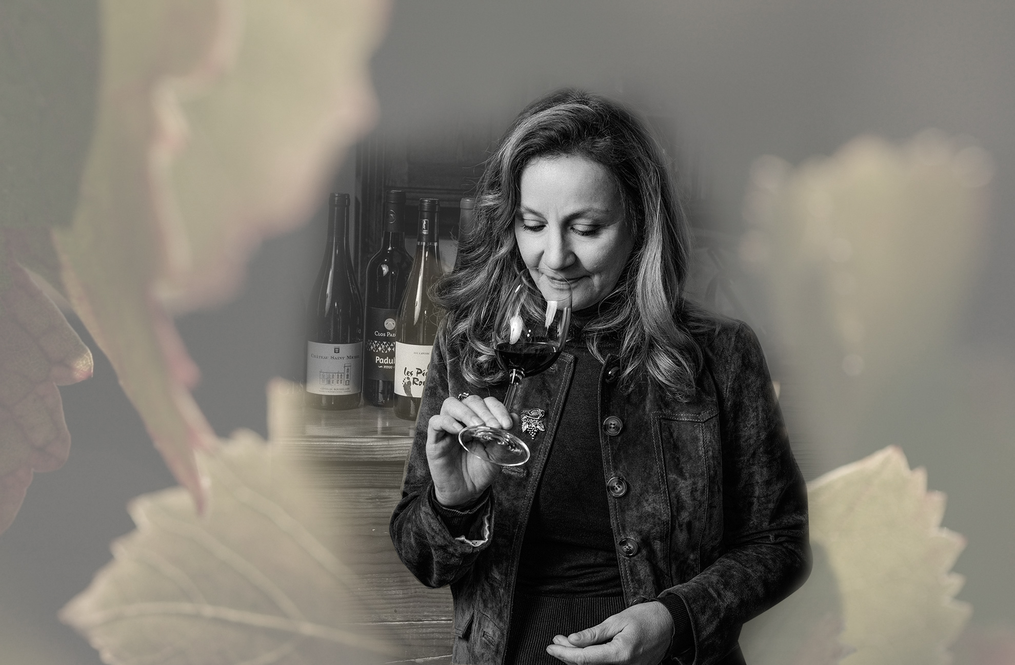 wildvinelegacy251021121853.jpg