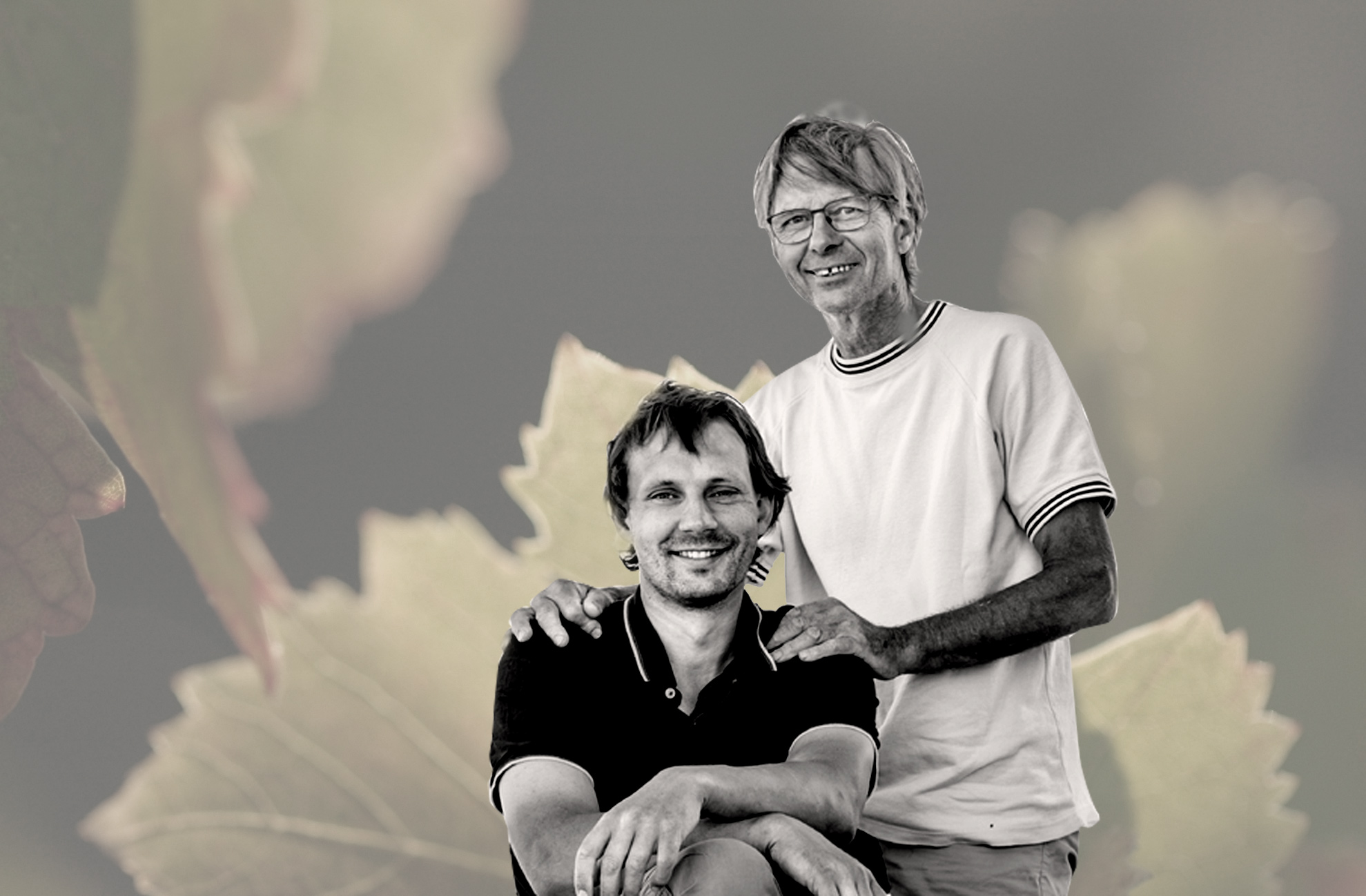 wildvinelegacy251021121922.jpg
