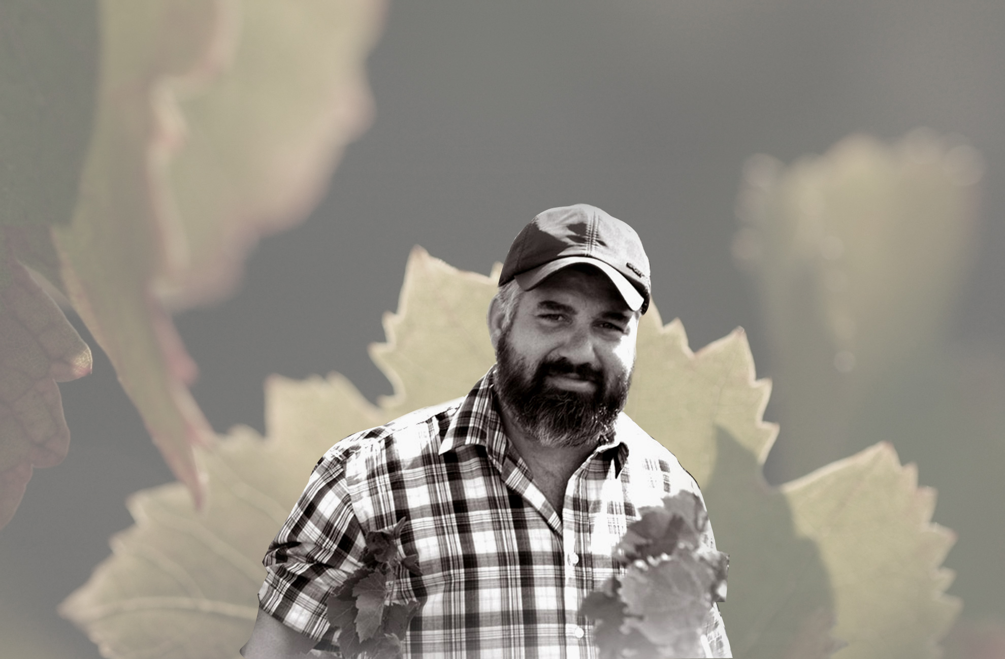 wildvinelegacy251021122221.jpg